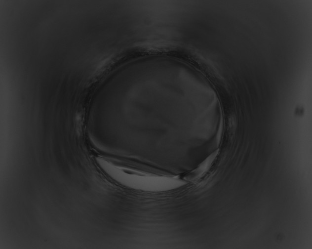 X0000091851300200710031011