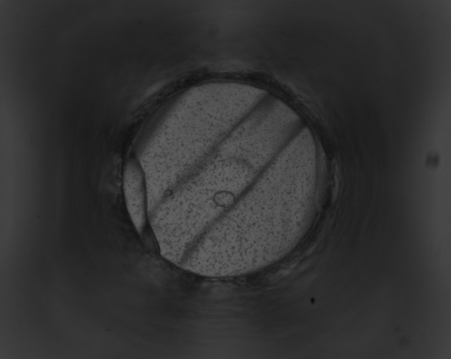 X0000091851301200710031011