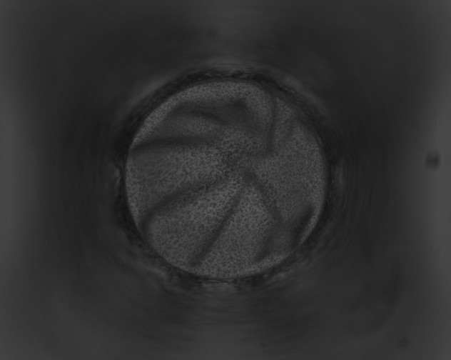 X0000091851302200710031012