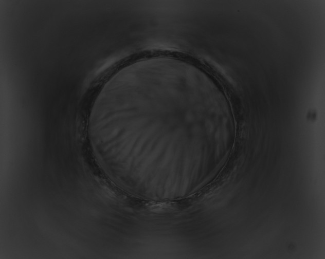 X0000091851303200710031012