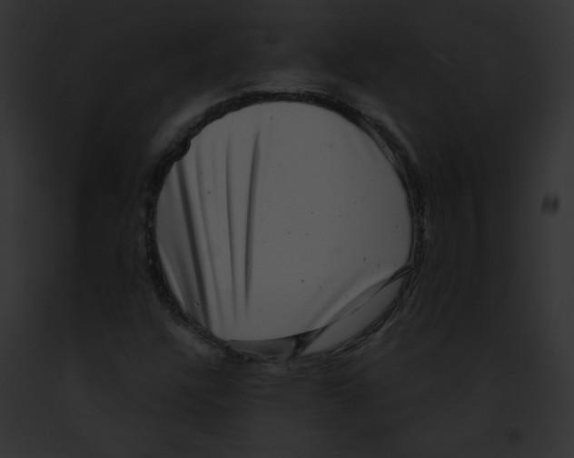 X0000091851304200710031012