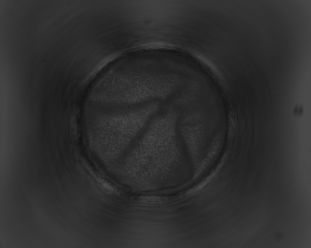 X0000091851305200710031012