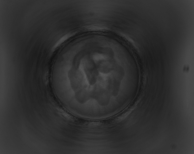 X0000091851306200710031012