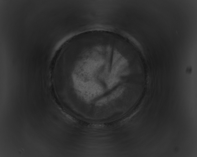 X0000091851310200710031012