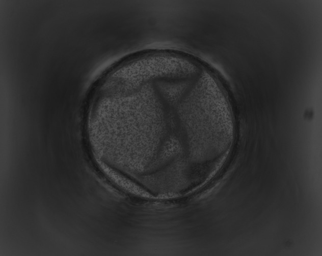 X0000091851311200710031012