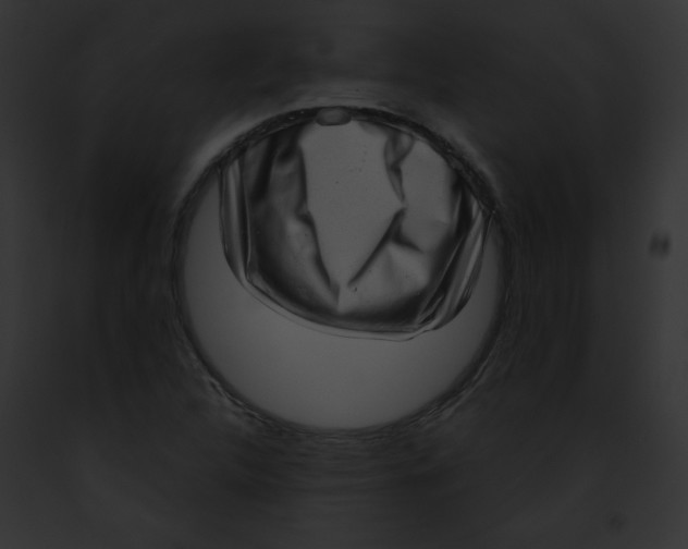 X0000091851312200710031012
