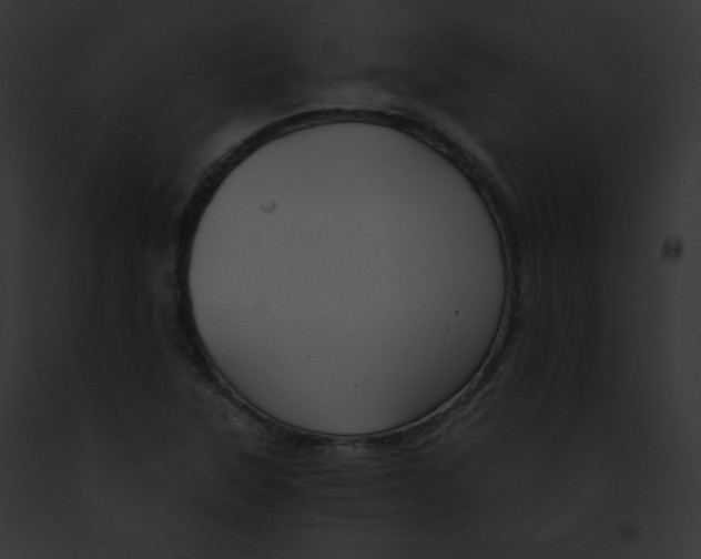 X0000091851315200710031012