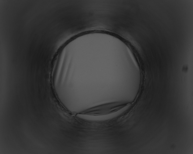 X0000091851316200710031012