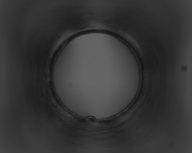 X0000091851318200710031012
