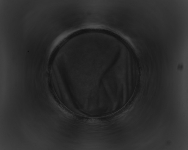 X0000091851319200710031012