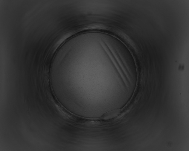 X0000091851321200710031012