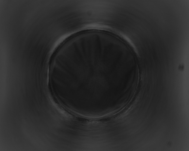 X0000091851323200710031012