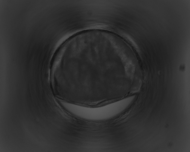 X0000091851324200710031012