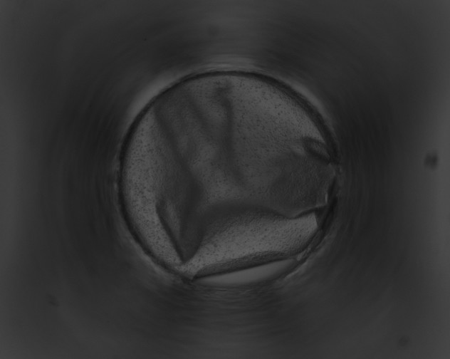 X0000091851325200710031012
