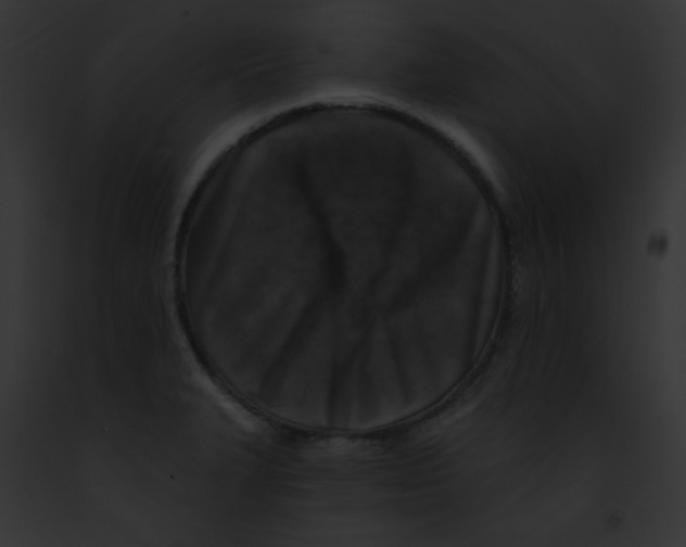 X0000091851327200710031012