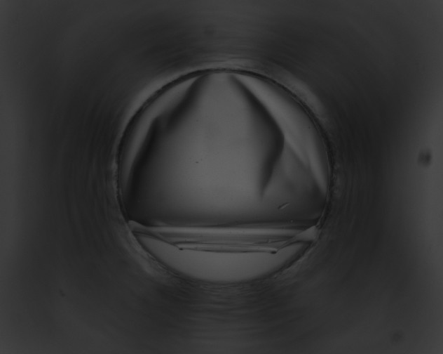 X0000091851332200710031012