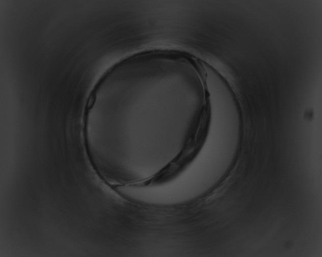 X0000091851334200710031012