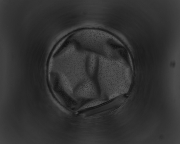 X0000091851335200710031012