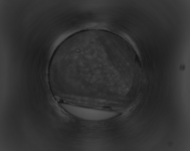 X0000091851336200710031012