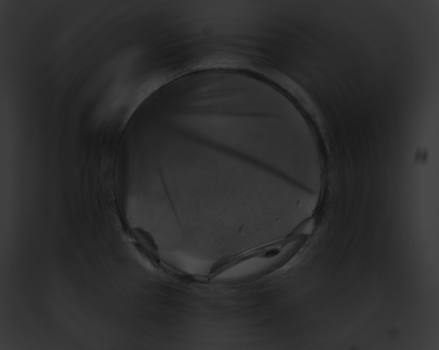 X0000091851337200710031012