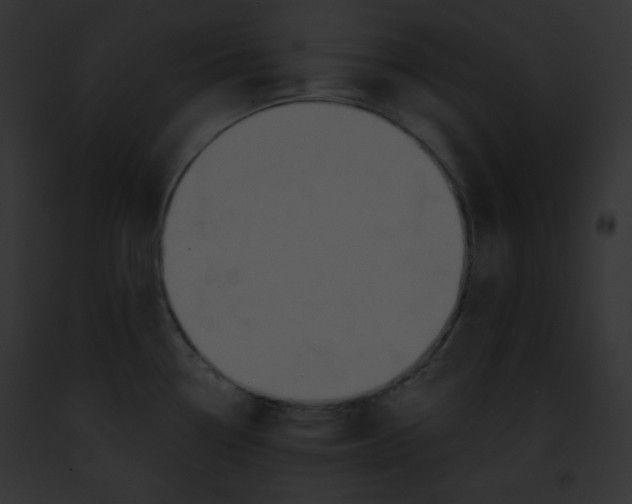 X0000091851338200710031012