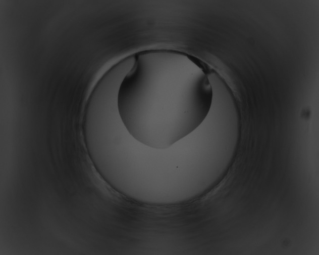 X0000091851340200710031012