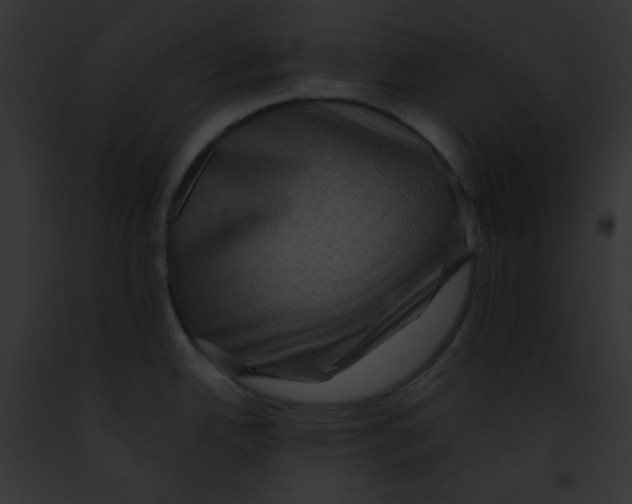 X0000091851342200710031012