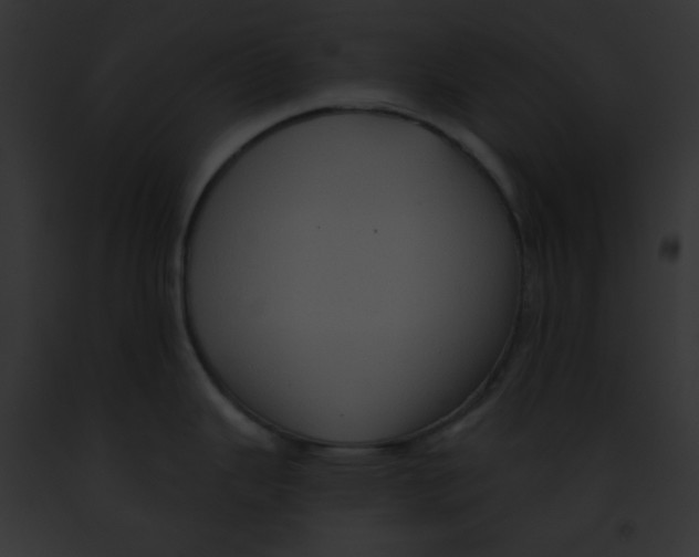 X0000091851343200710031012