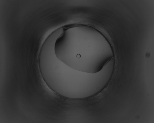 X0000091851344200710031012