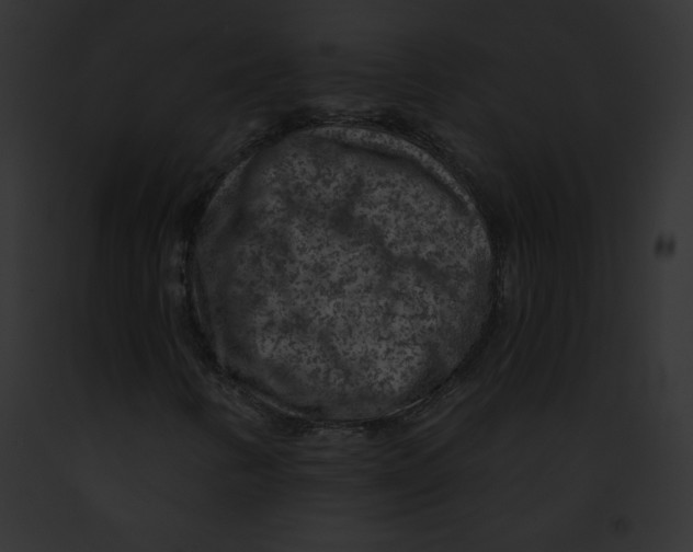 X0000091851346200710031011