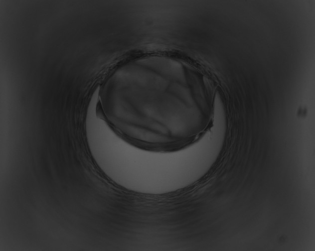 X0000091851348200710031011
