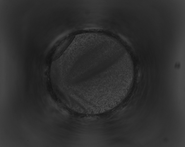 X0000091851351200710031011