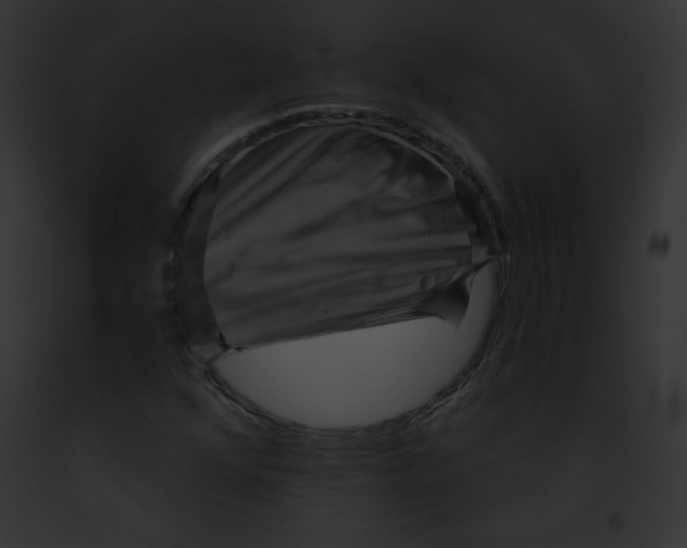 X0000091851352200710031011
