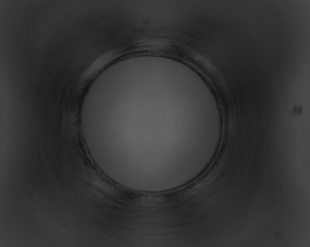 X0000091851354200710031011