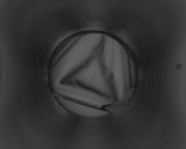 X0000091851356200710031011