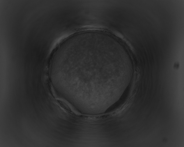 X0000091851357200710031011