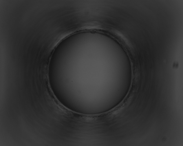 X0000091851361200710031011