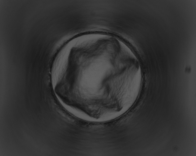 X0000091851363200710031011