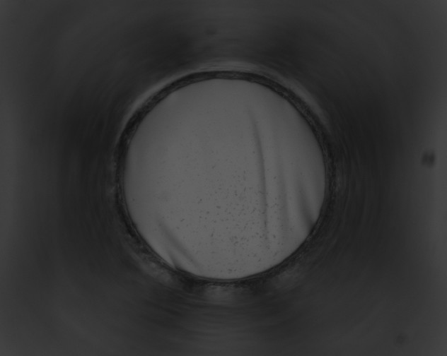 X0000091851364200710031011