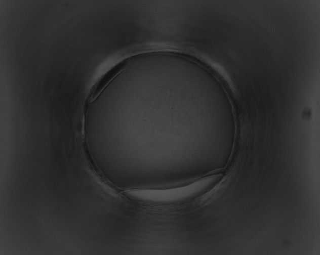X0000091851365200710031011