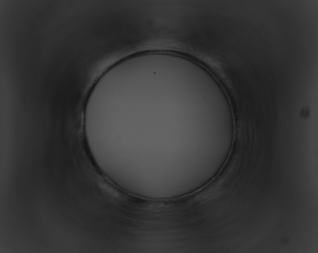 X0000091851366200710031011