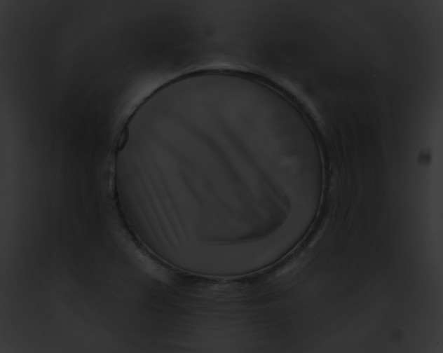 X0000091851367200710031011