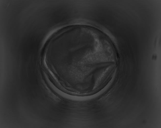X0000091851368200710031011