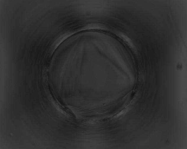 X0000091851369200710031011