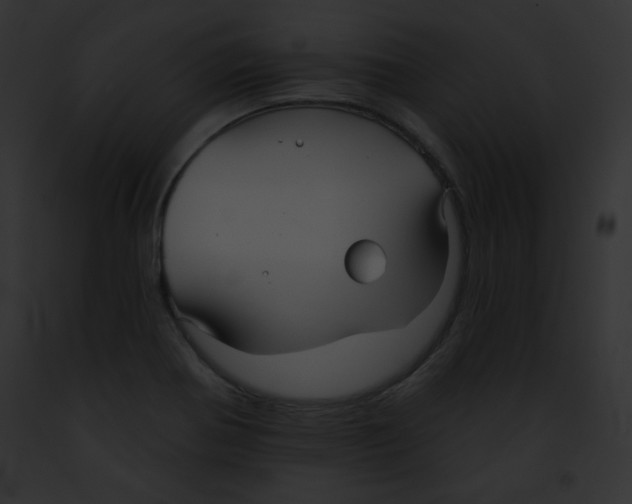 X0000091851370200710031011