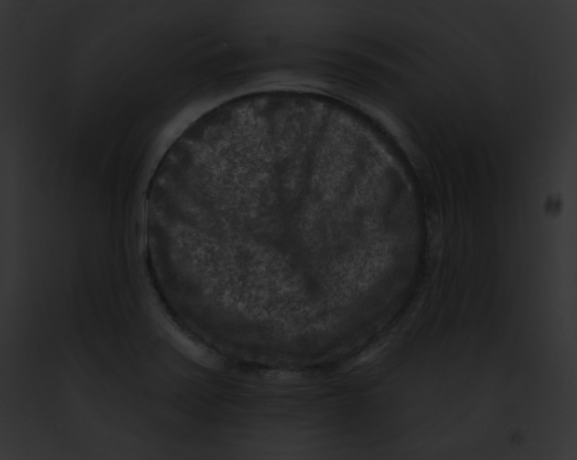 X0000091851371200710031011