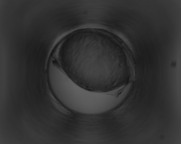 X0000091851372200710031011