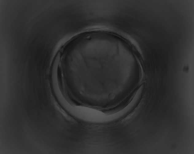 X0000091851373200710031011