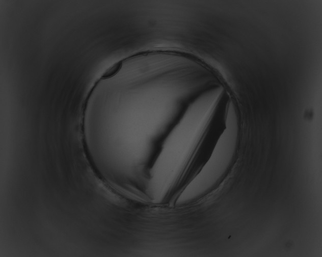 X0000091851374200710031011