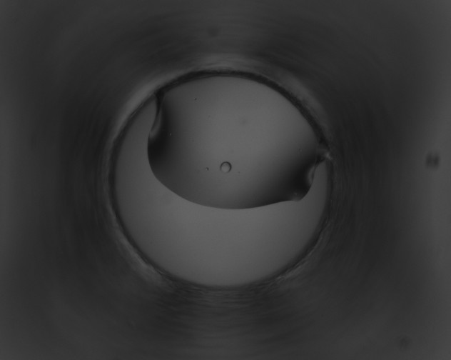X0000091851376200710031011